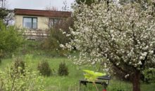 Erholungsgrundstück in Müllerdorf - Blick vom Garten zum Bungalow