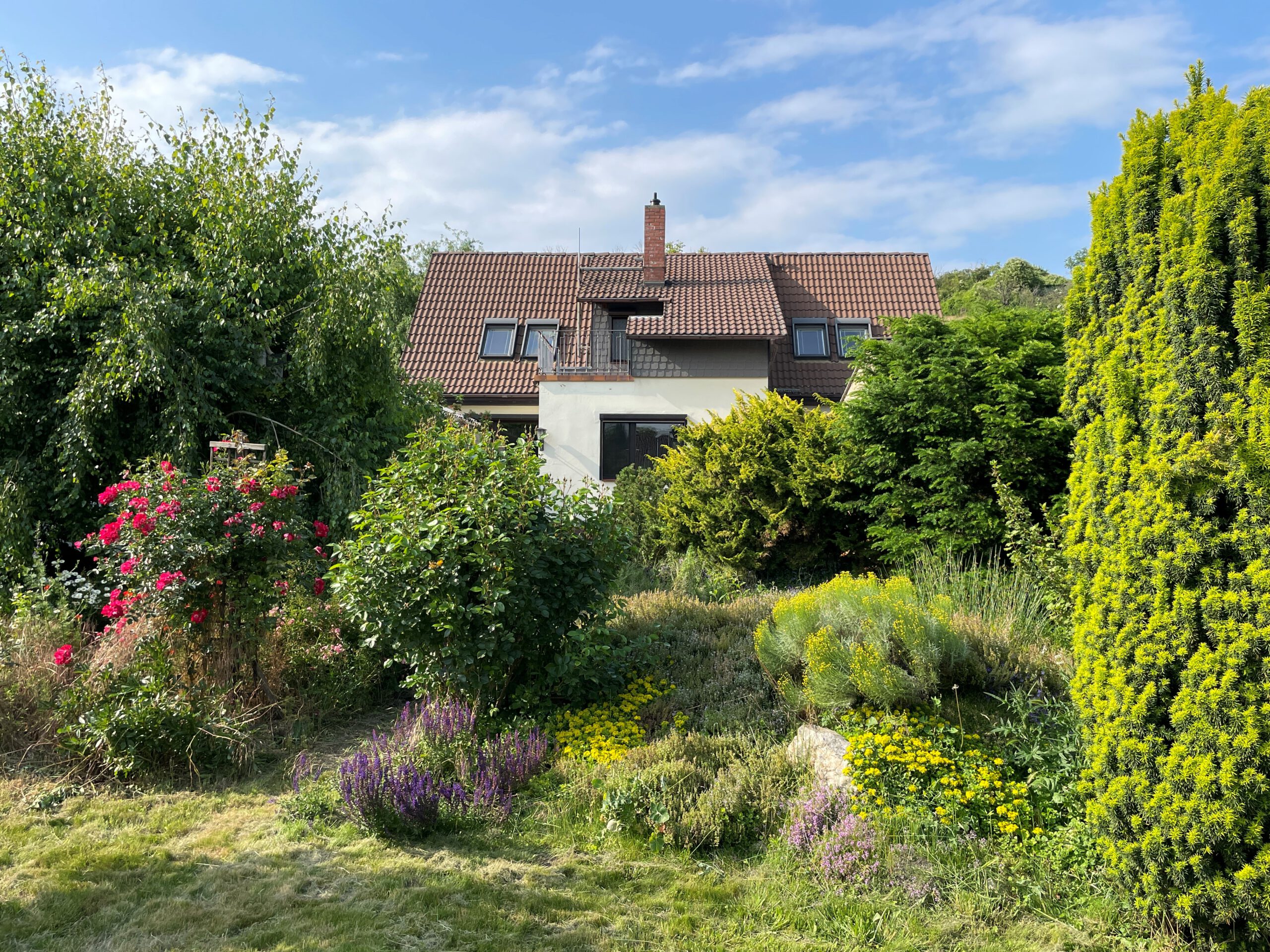 Einfamilienhaus in Langenbogen - Blick vom Garten